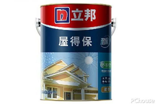 家裝涂料選購指南 網(wǎng)購注意事項(xiàng)與熱門品牌推薦